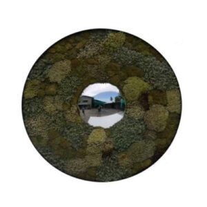 MR-MOSS-CONVEX-mirror